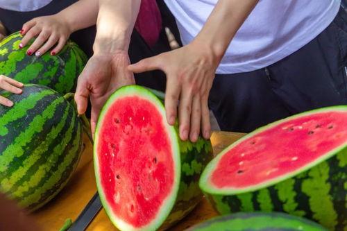 最新大学吃瓜爆料,最新吃瓜爆料，揭秘那些不为人知的校园秘密